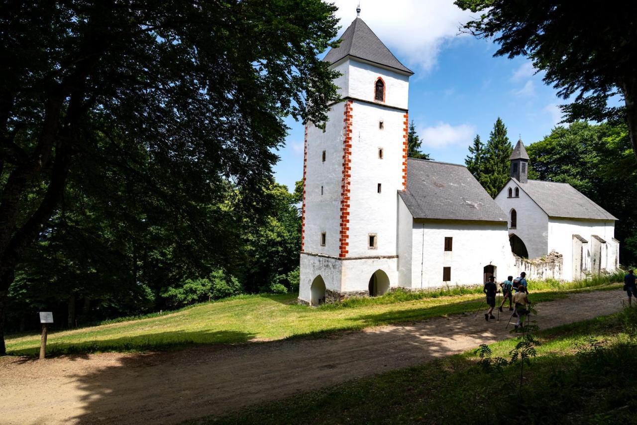 Pohorje Village Wellbeing Resort - Forest Apartments Videc Хочко Похорє Екстер'єр фото