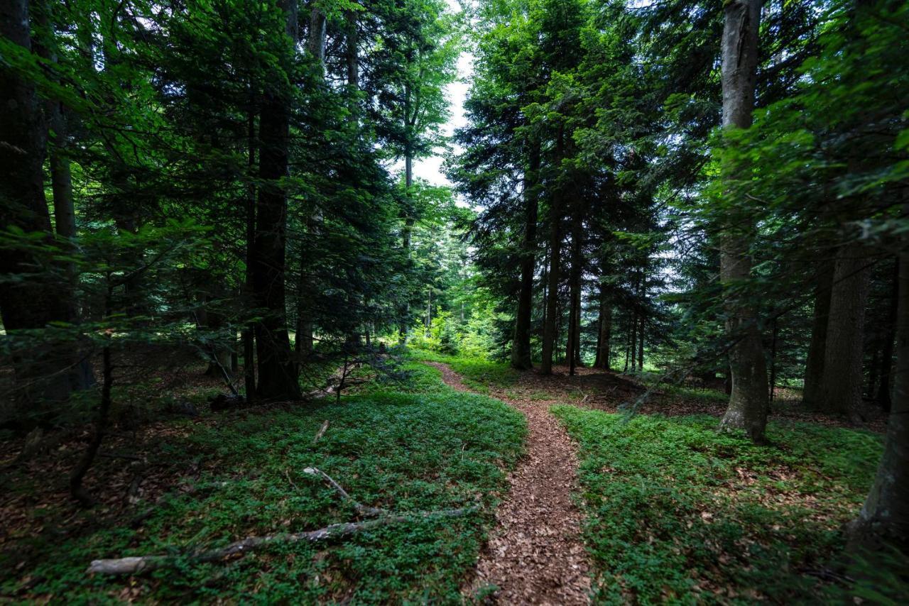 Pohorje Village Wellbeing Resort - Forest Apartments Videc Хочко Похорє Екстер'єр фото