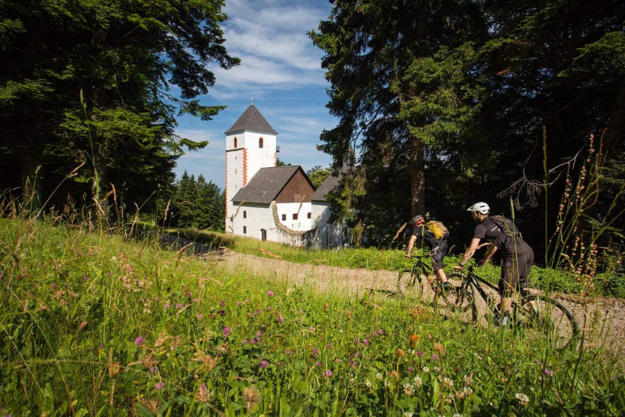 Pohorje Village Wellbeing Resort - Forest Apartments Videc Хочко Похорє Екстер'єр фото